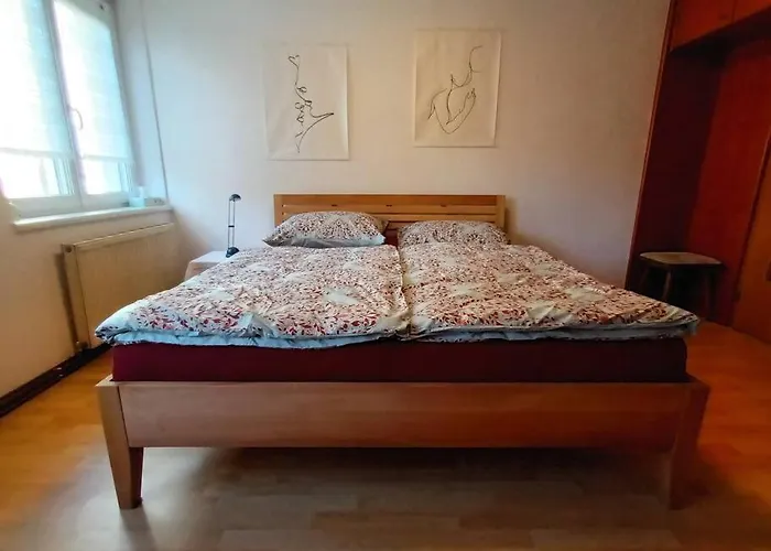 Apartment Modernes In Vienna